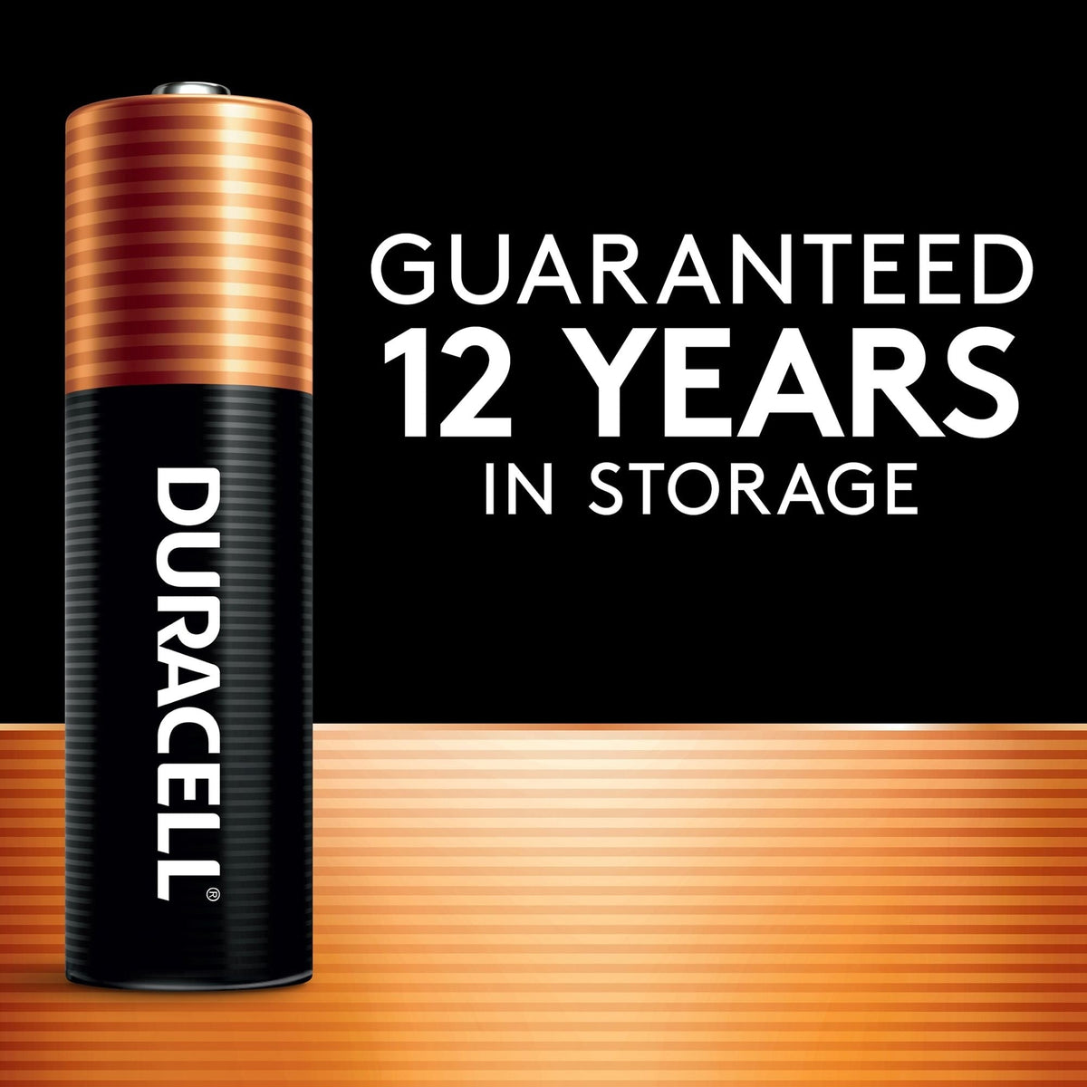 Duracell Coppertop AAA Alkaline Batteries, All Purpose, 10-pk