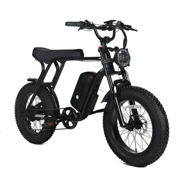 Electric Mountain Bike for Adults | 20 x 4.0 Fat Tires, 1000W Motor, 48V 20Ah Removable Battery, Max Speed 45MPH, Shi Mano 7-Speed for Off-Road Adventures F6
