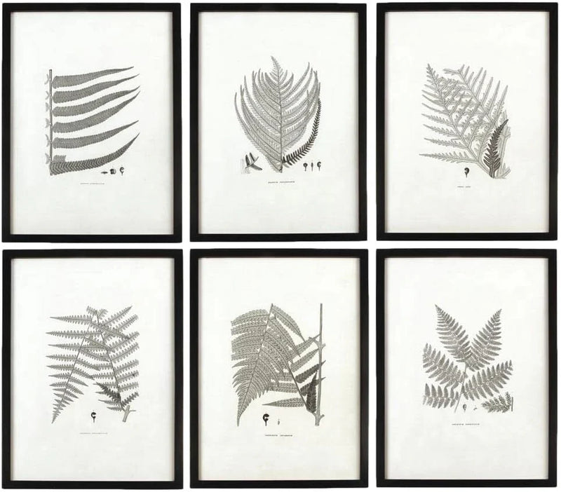 MY SWANKY HOME Modern Set of 6 Black White Fern Prints Botanical Framed Monochrome 29 in M5