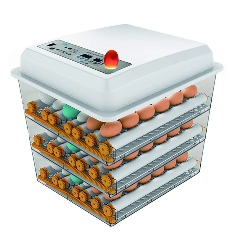 Egg Incubator - Egg Incubator with Automatic Egg Turning and Humidity Control,Large Poultry Hatcher for Chickens Birds Ducks (176 Eggs) X5