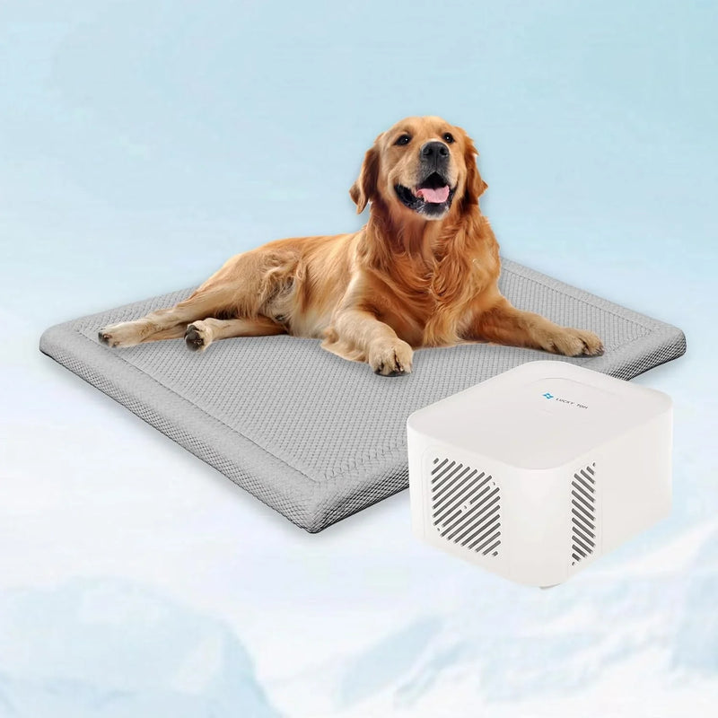 Pet Bed Cooling System, Consistent Warm and Cold Water Pad, No Electric Shock or Chemical Gel Needed, Machine Washable Bed, Ideal for Home and Crates (Cooling & Heating Green, 41" x 28") R0