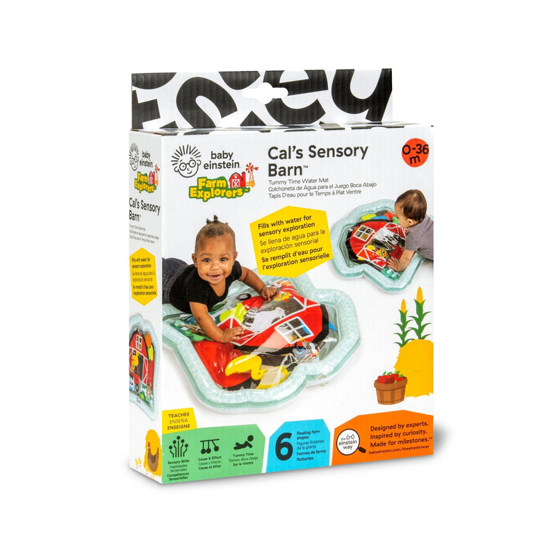 Baby Einstein Cal's Sensory Barn Tummy Time Water Mat T8