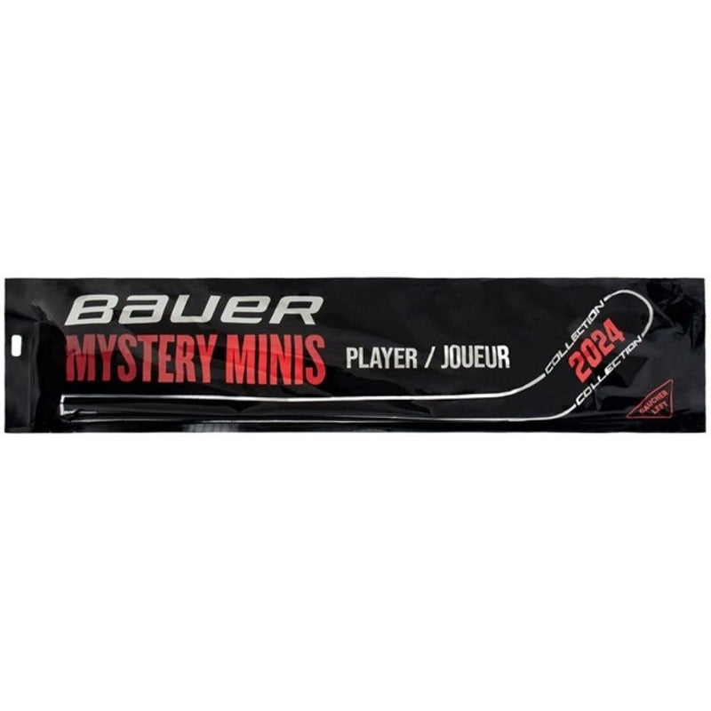 Bauer Mystery Mini Hockey Stick, Assorted Designs, 18-in S2
