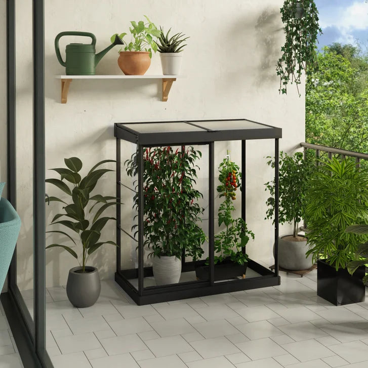 Canopia by Palram Ivy 4 ft. x 2 ft. Mini Greenhouse Kit X2
