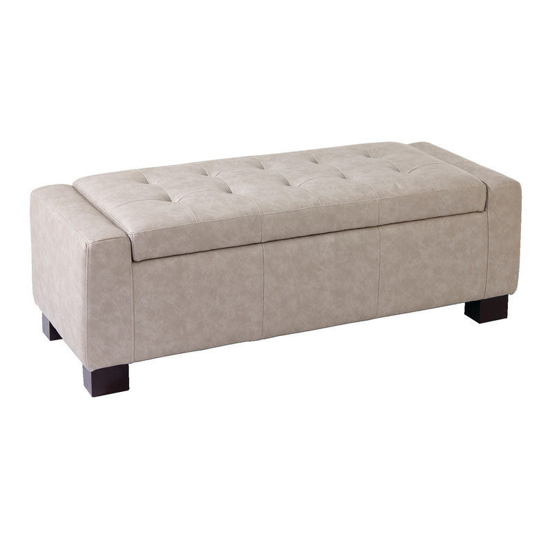 CANVAS Louisa Upholstered Hinge-Top Storage Ottoman/Bench With Padded Seat, Light Grey X0