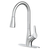 Danze Clarivo 2-in-1 Filtration 1-Handle Pull Down Kitchen Faucet, Various Finishes