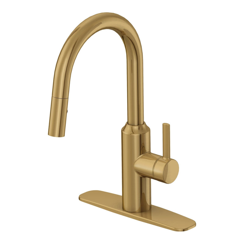 Danze Colby Single-Handle Pull-Down Kitchen Faucet, Brushed Bronze Y8