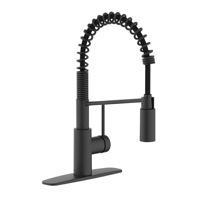 Danze Imi 1-Handle Pull-Down Commercial Style Kitchen Faucet E7