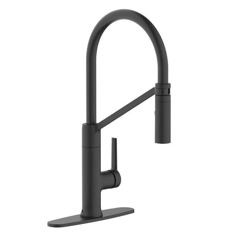 Danze Tana 1-Handle Pull-Down Kitchen Faucet E9