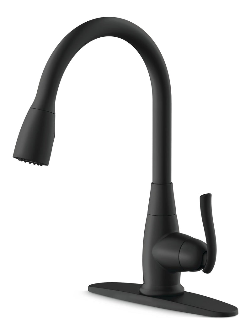 Danze Terrazo 1-Handle Pull Down Kitchen Faucet, Matte Black H5