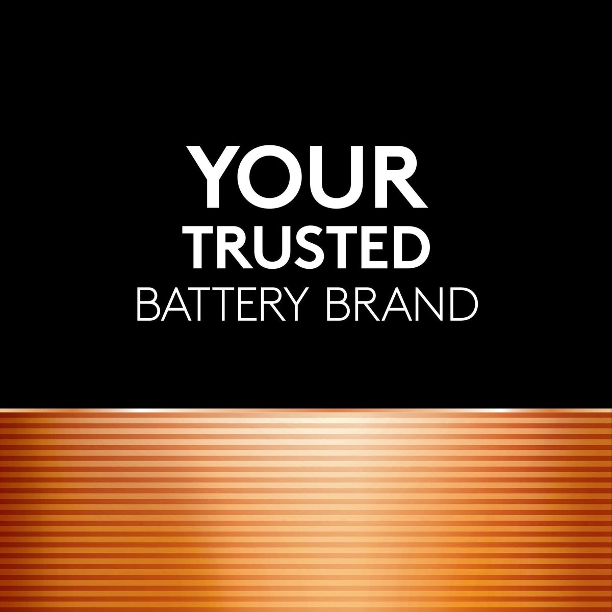 Duracell Coppertop AAA Alkaline Batteries, All Purpose, 8-pk