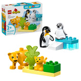 LEGO DUPLO Wild Animal Families: Penguins & Lions Toy Building Set - 10442, 10-pcs, Ages 2+