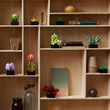 LEGO The Botanical Collection Succulents Building Set – 10309, 771-pcs, Ages 18+