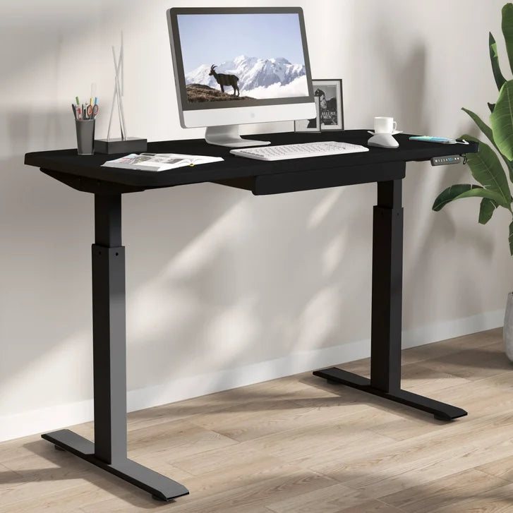 Motionwise 121.9 cm x 61 cm (48 in. x 24 in.) Height Adjustable Desk Q1