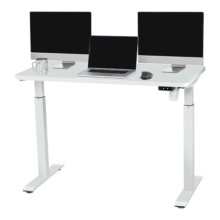 Motionwise 121.9 cm x 61 cm (48 in. x 24 in.) Single Motor Height Adjustable Desk O7