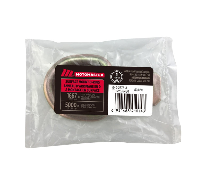 MotoMaster 5,000-lb Medium Duty D-Ring, Surface Mountable G1
