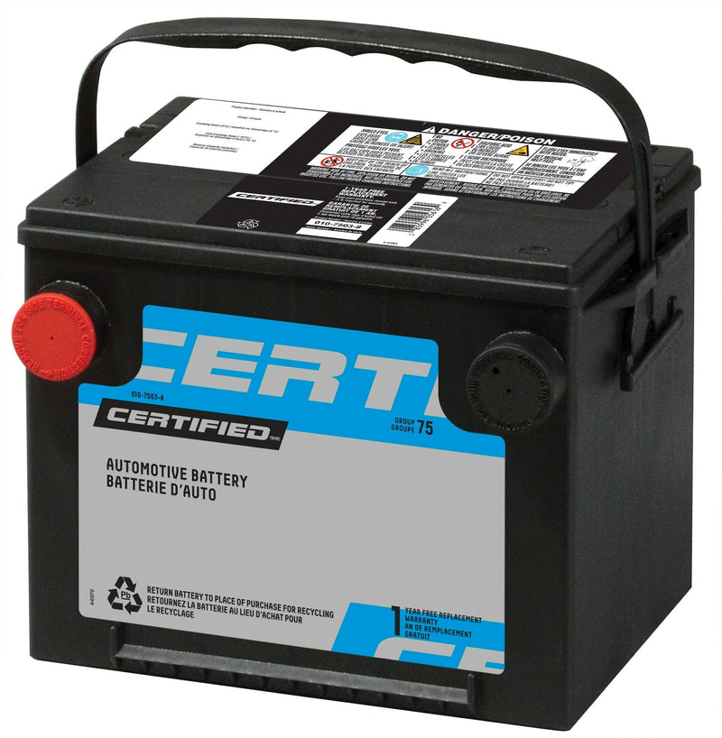 MOTOMASTER Group Size 59 Battery, 590 CCA C7