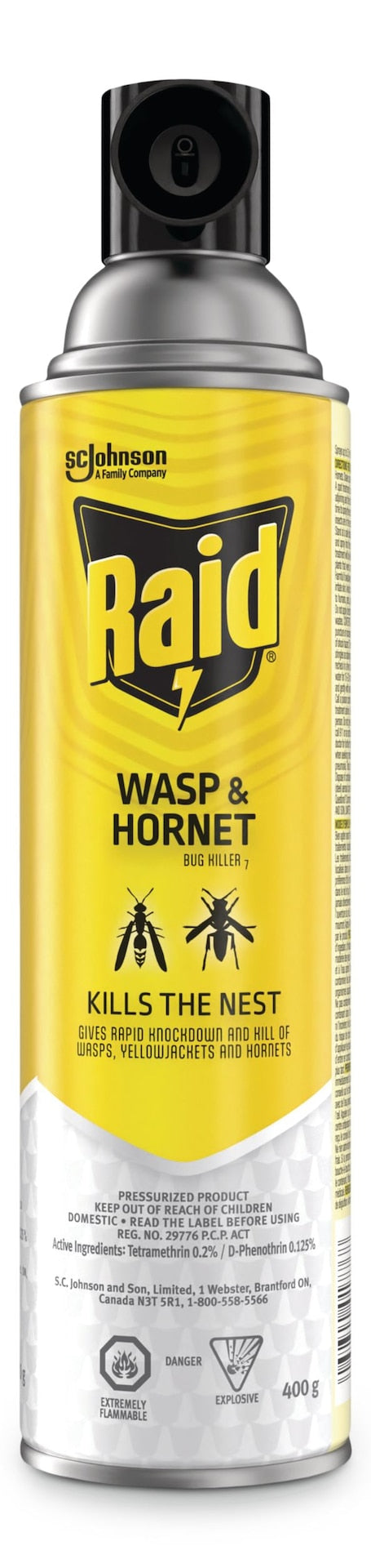 Raid Hornet & Wasp Spray, Aerosol Spray, 400 g A9