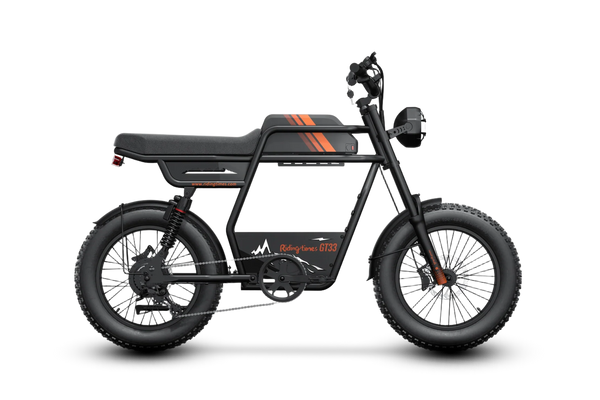 GT33 All-Terrain Cafe Racer Cargo Electric Bike B6
