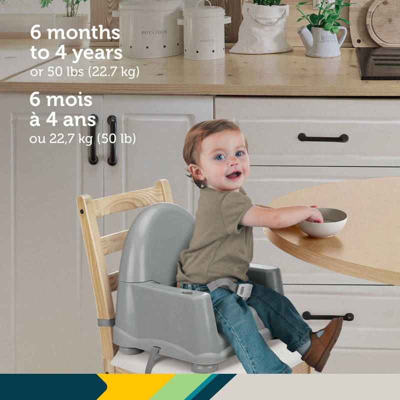 Safety 1st Easy Care Steel Fog Feeding Booster with Swing Tray Z6