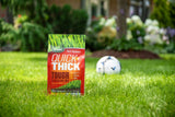 Scotts Turf Builder Quick + Thick Grass Seed Tough & Resilient Mix, 12-0-0, 1.2-kg