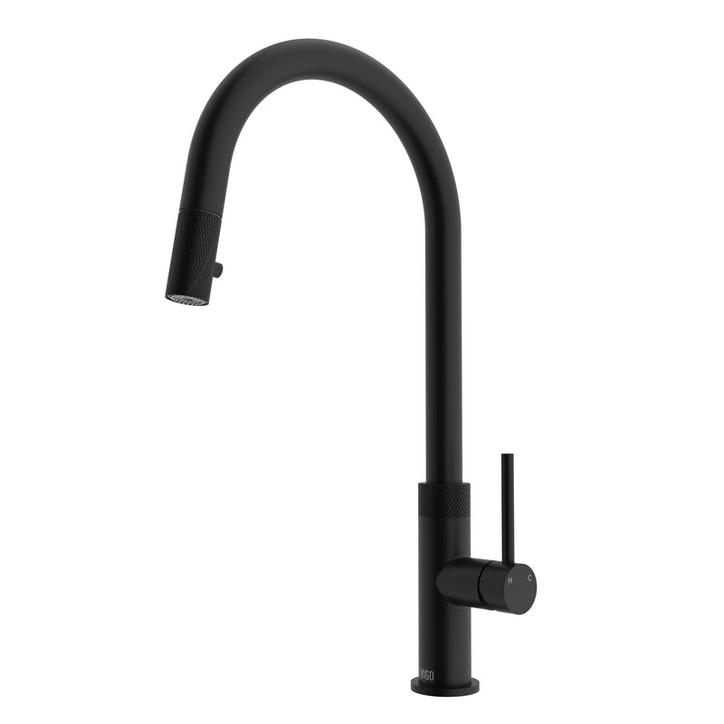 VIGO Bristol Kitchen Faucet H9