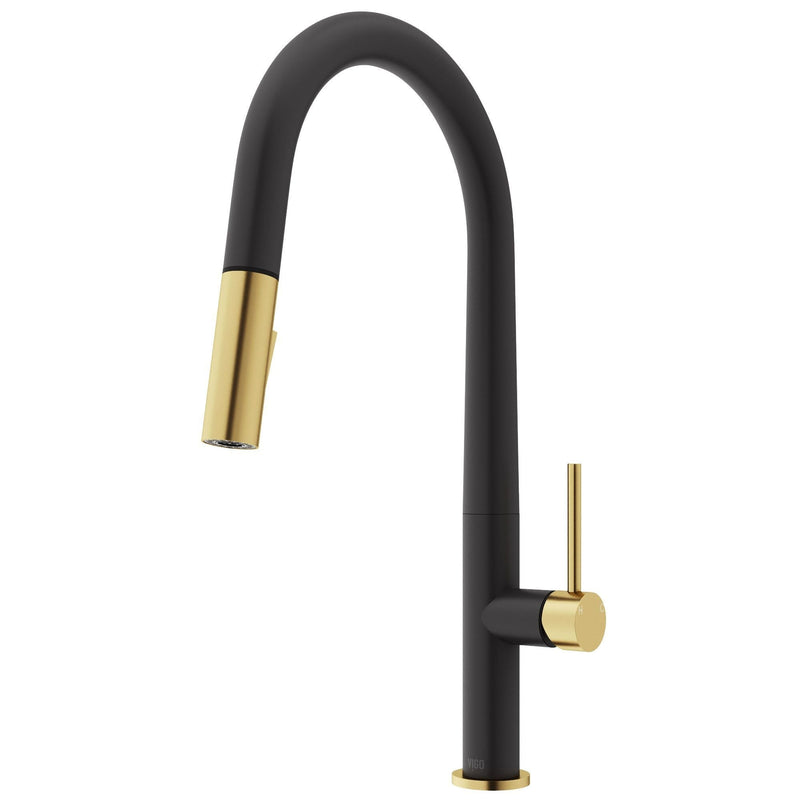 VIGO Greenwich 18-in Single-Handle Gold/Black Kitchen Faucet J6