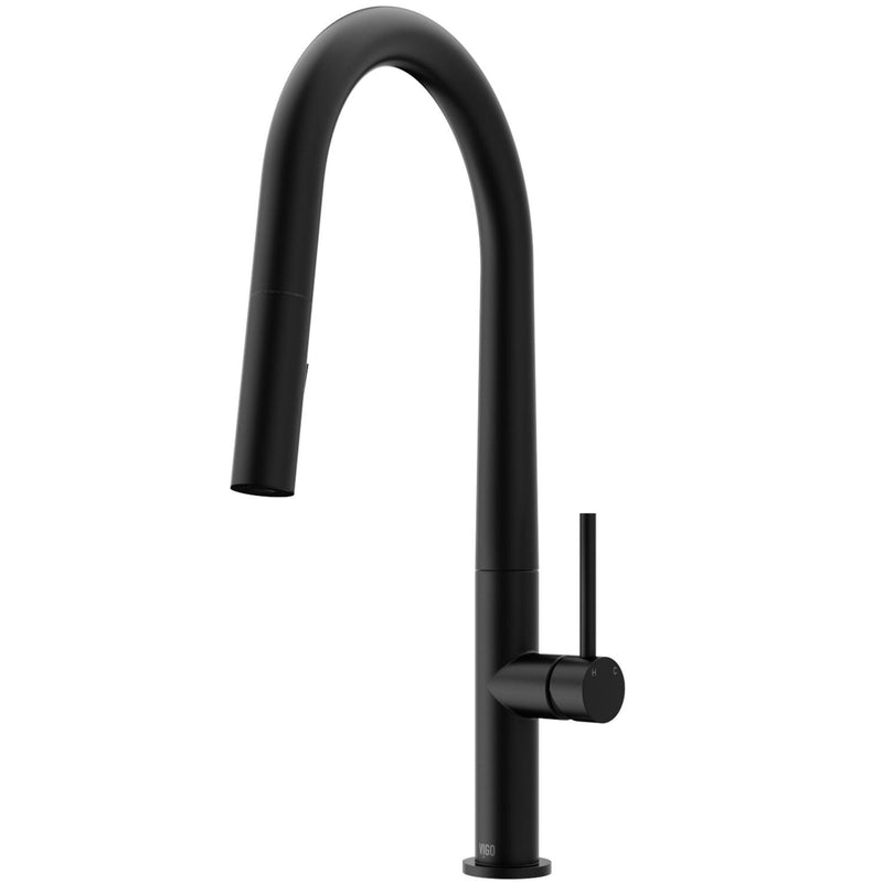 VIGO Greenwich Kitchen Faucet, Matte Black P8