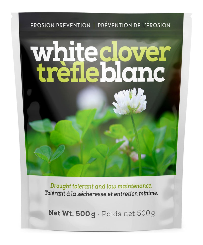 White Clover Erosion Control Grass Seed 500g G6